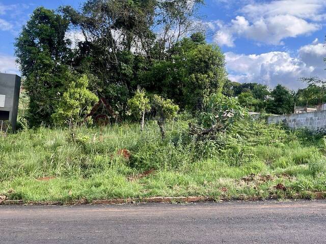 #214 - Área para Venda em Erechim - RS - 1