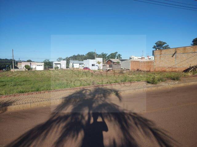 #224 - Área para Venda em Erechim - RS - 1