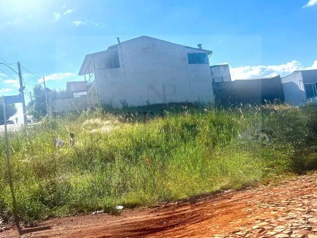 #233 - Área para Venda em Erechim - RS - 1